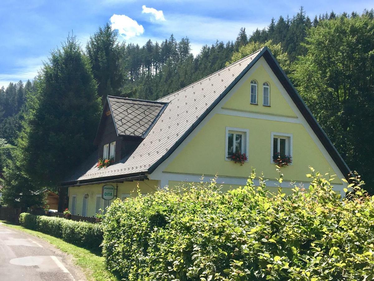 Pension Dita - Adršpach Teplice nad Metují Exterior foto